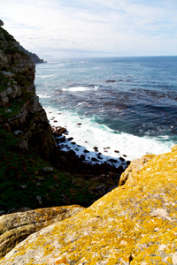 在南非的海岸线和自然公园保护区