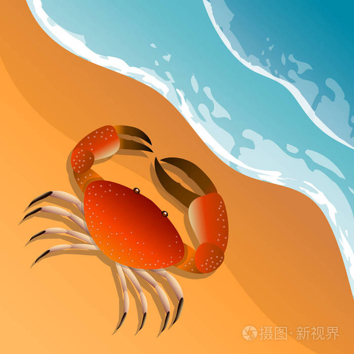 插画 海滩主题上的插图.海边的暑假.沙滩上的螃蟹海上冲浪.eps