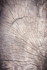 旧橡木背景，旧木质