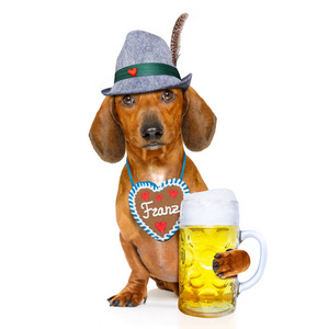 巴伐利亚啤酒腊肠腊肠狗