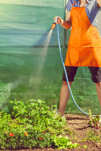 女人在花园与软管浇水