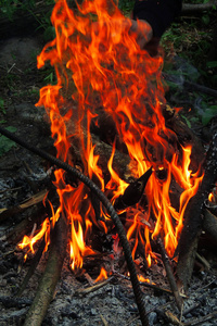 燃烧的木头。着火了背景自然之火