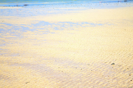 沙滩抽象泰国 kho 低潮海