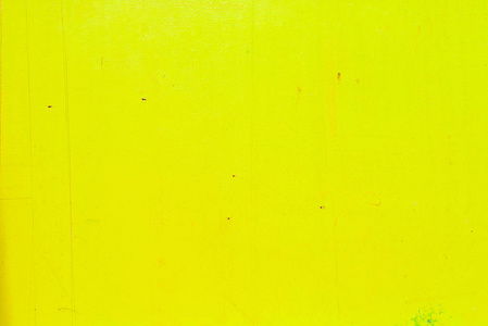 黄色赭石动物、植物照片-黄色赭石动物、植物高清图片-摄图新视界