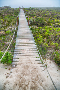 在南非海滩走道附近印度洋