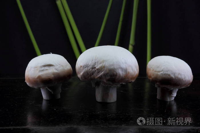 森林蘑菇与芦苇