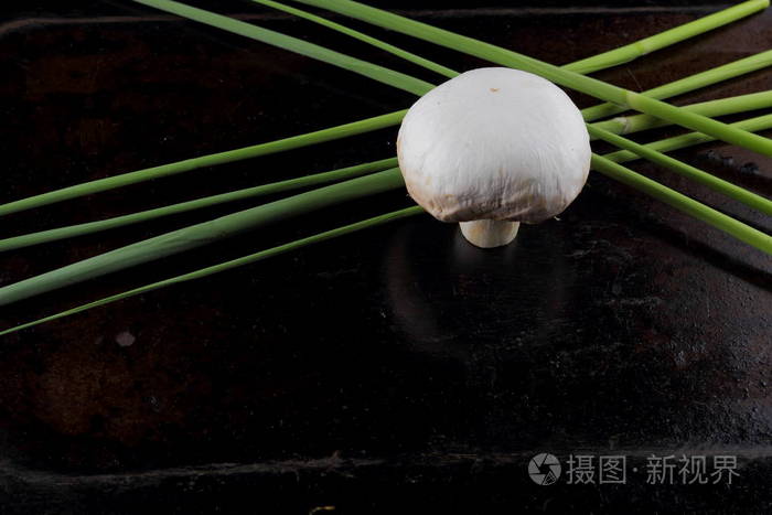 森林蘑菇与芦苇