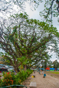 绿树中的一个小镇瓦伦西亚，岛内格罗斯