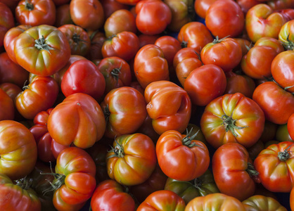 新鲜的西红柿。红番茄。村庄市场有机西红柿。番茄定性的背景