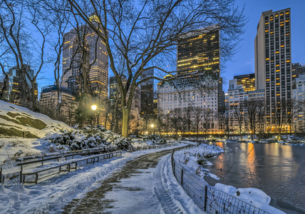 雪后, 纽约市中央公园