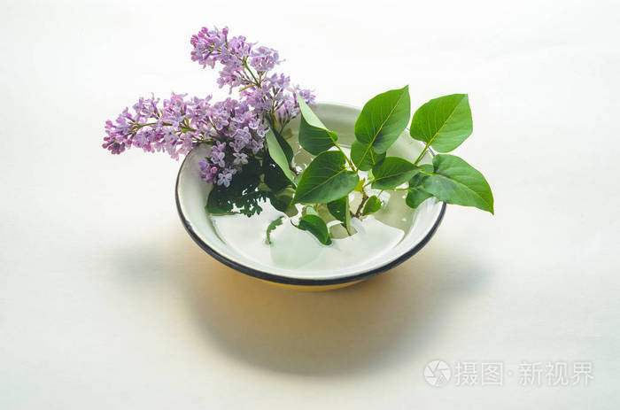 一束鲜紫色淡紫色的黄色搪瓷碗