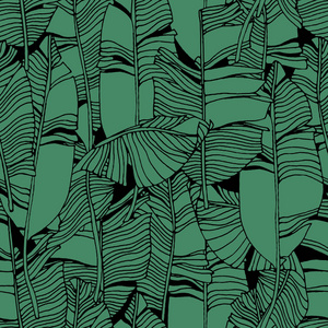 热带树叶，丛林模式。无缝地详细，植物的模式。矢量背景
