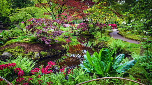 传统的日本花园