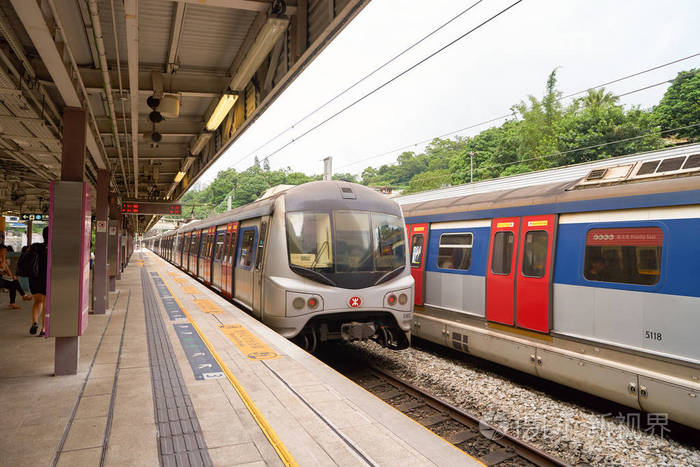 东铁线照片-正版商用图片0yqx9g-摄图新视界