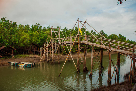 河和船班乃岛，菲律宾的木桥。Bakhawan 生态公园