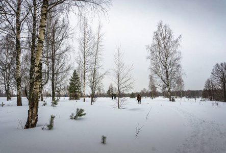 在冰雪覆盖的森林旅游的游客一小群