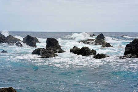 野生海浪