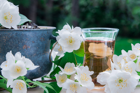 茉莉茶用茉莉花