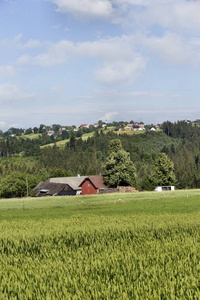 基迪农村，美丽的山在北波西米亚，捷克共和国