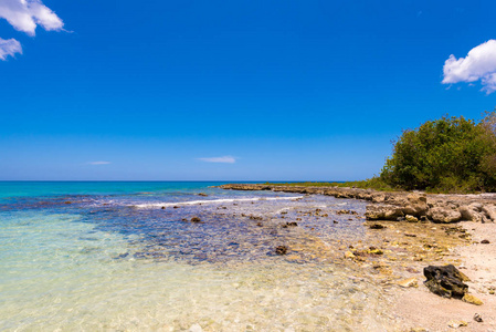 多米尼加共和国拉阿尔塔格拉西亚的巴亚希贝石质海滩景观。复制文本的空间