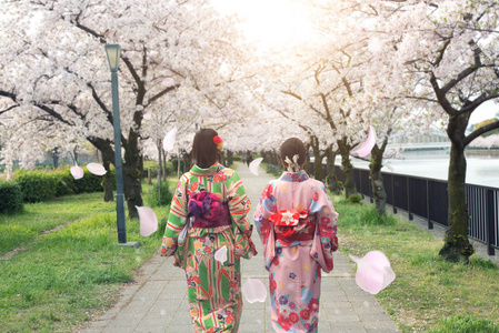 几个亚洲妇女穿着传统日本和服在樱花