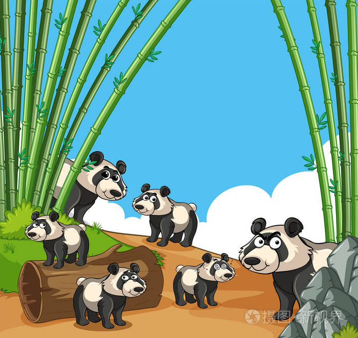 很多大熊猫在竹林里插画-正版商用图片0yv8ve-摄图新