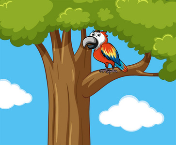 鹦鹉鸟在树上枝头