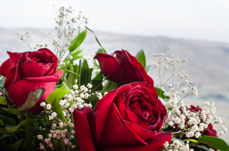 玫瑰的花束近在咫尺。背景模糊。选择性对焦。花卉图案或贺卡背景。新鲜玫瑰红玫瑰头和洋甘菊花的花束