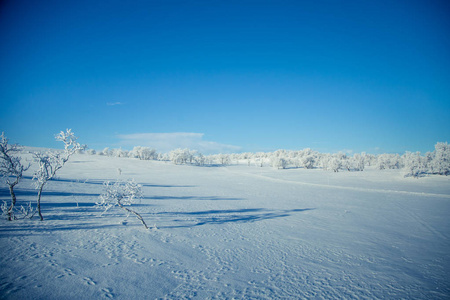 一个飘雪美丽白色景观与滑雪挪威冬季天跟踪