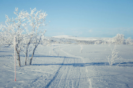 挪威冬季天与轨道为雪地车或狗拉雪橇雪美丽的白色风景