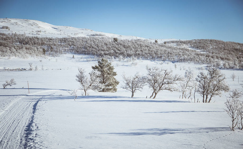 挪威冬季天与轨道为雪地车或狗拉雪橇雪美丽的白色风景