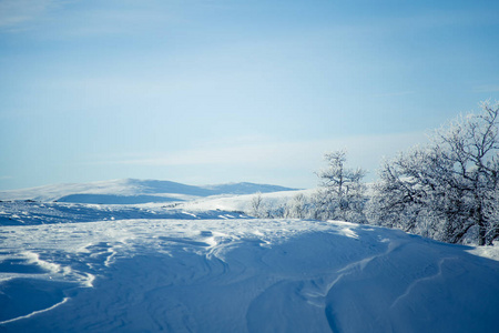 美丽的白色风景的一个飘雪挪威冬季的一天