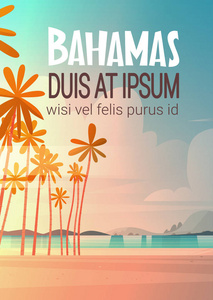 Bahamans 海岸滩上日落美丽的海滨景观暑假概念