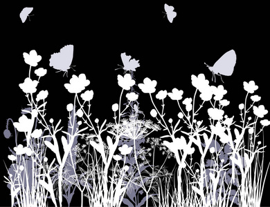 白色和灰色的花朵, 在黑色的草隔离