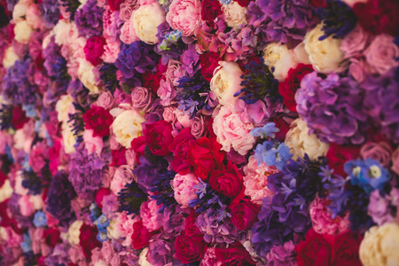 美丽的红紫色紫色花 玫瑰 郁金香 新闻墙 背景墙