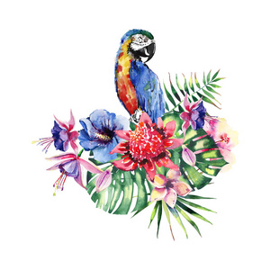 美丽明亮可爱炫彩热带夏威夷花卉草药夏季花纹的热带花卉木槿和兰花，棕榈树的叶子和多彩的热带黄色蓝色鹦鹉水彩手绘