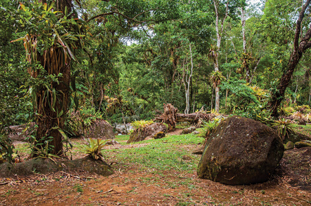 阴天附近帕拉热带景观石头的概述
