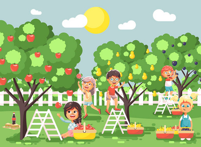 矢量图卡通人物儿童男孩和女孩收获成熟的水果秋天果园花园从李子 梨 苹果树，作物放满的篮子景观场景室外平面样式