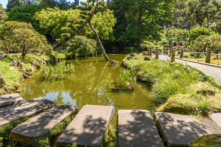 日本茶花园