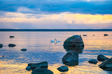 与对天鹅在地平线上的日落之后波罗的海扔石头的海边