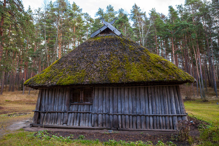 乡村农场住宅的视图。木结构建筑的北方和波罗的海国家