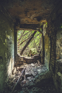 里面废弃的建筑, 没有墙的房间