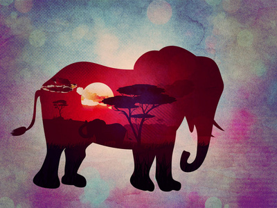 与大象 Grunge 的非洲日落