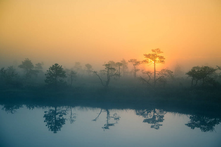 在朦胧的沼泽中冉冉升起的太阳美丽 梦幻般的早晨风光。艺术 多彩的风景照片