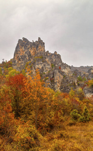 美丽的风景，在山中