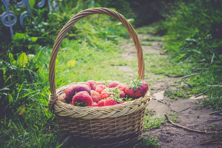 草莓在篮子上草复古