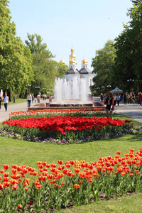 城市公园与郁金香和喷泉