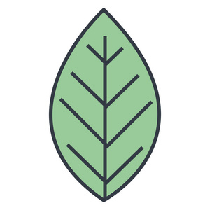 叶子植物生态学图标
