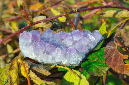 紫水晶