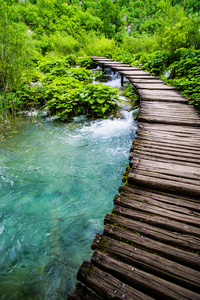 流水木走道图片